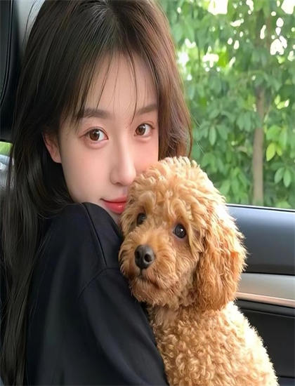 《BOIN×BOIN爽香》观看指南：剧情走向、时间线梳理与人物关系图详解，收藏必备